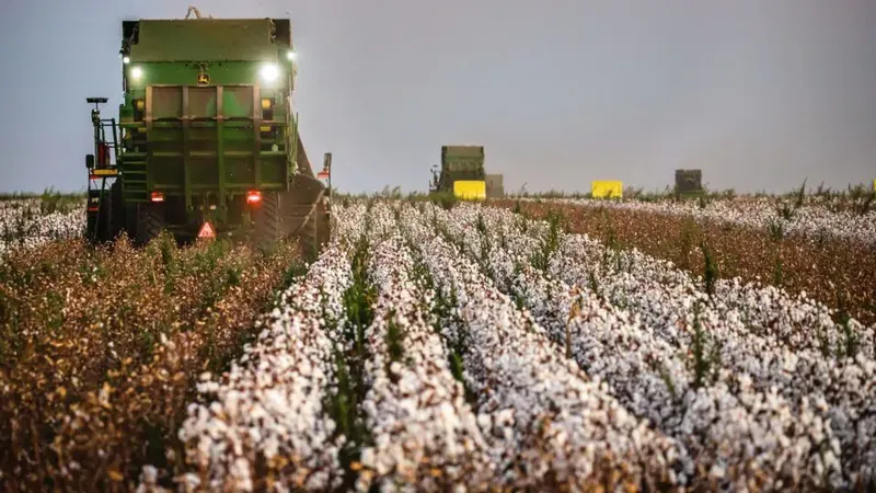 CBS e IBS vão mudar preços e contratos no agronegócio